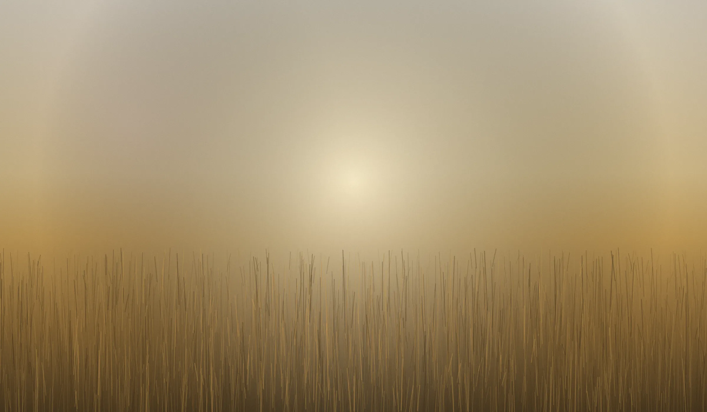 A wide landscape, Ava's world